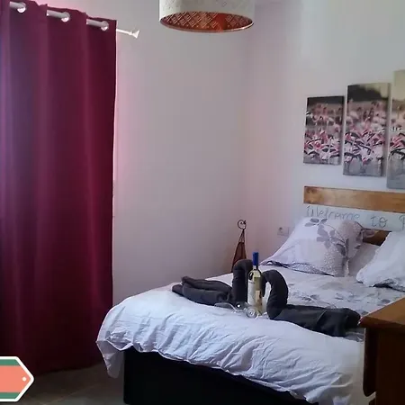 Apartment Apartamento Flamingo House