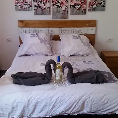 Apartamento Flamingo House