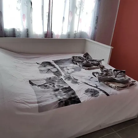 Apartment Apartamento Flamingo House
